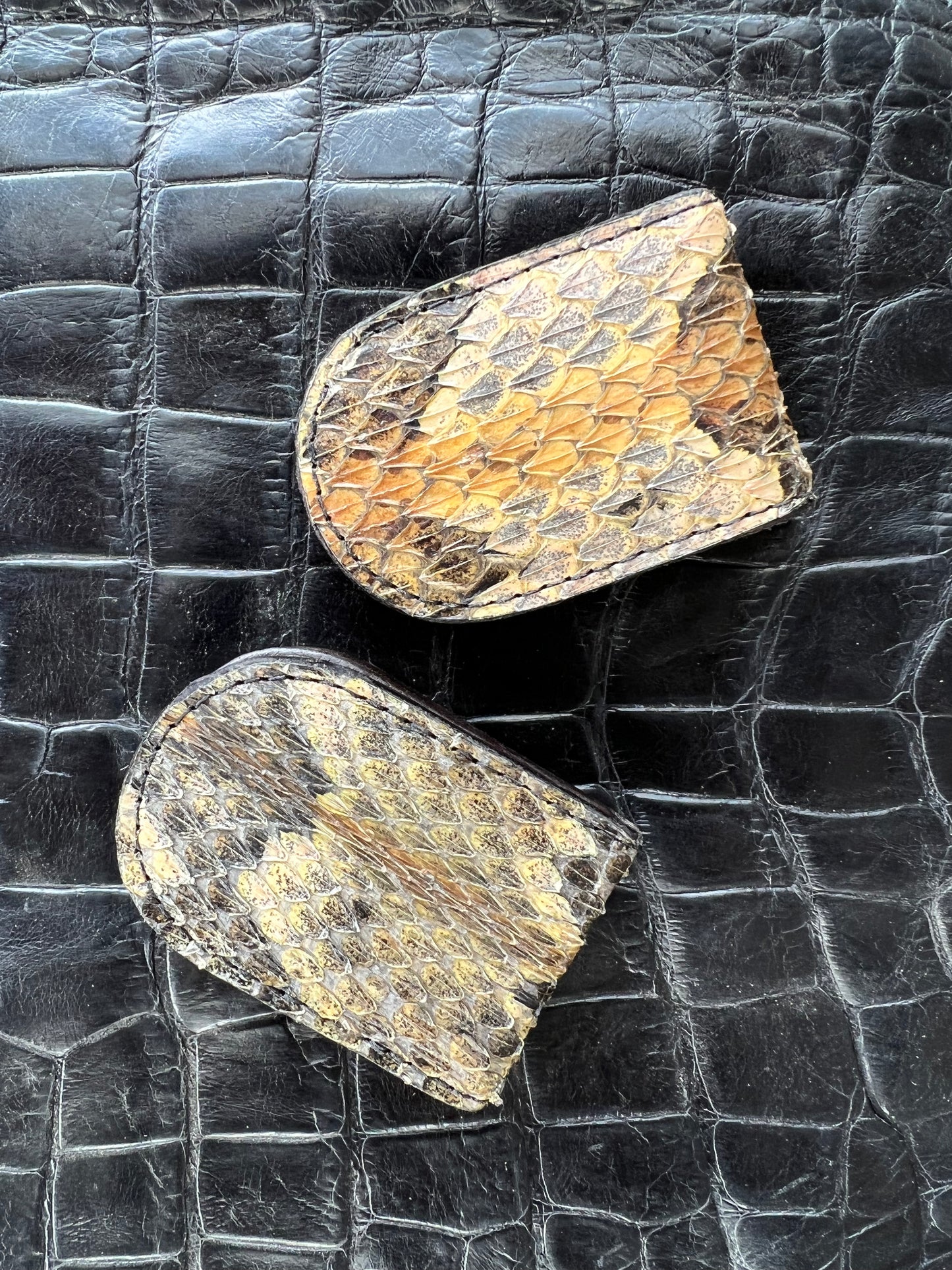 Canebrake Rattlesnake Money Clip
