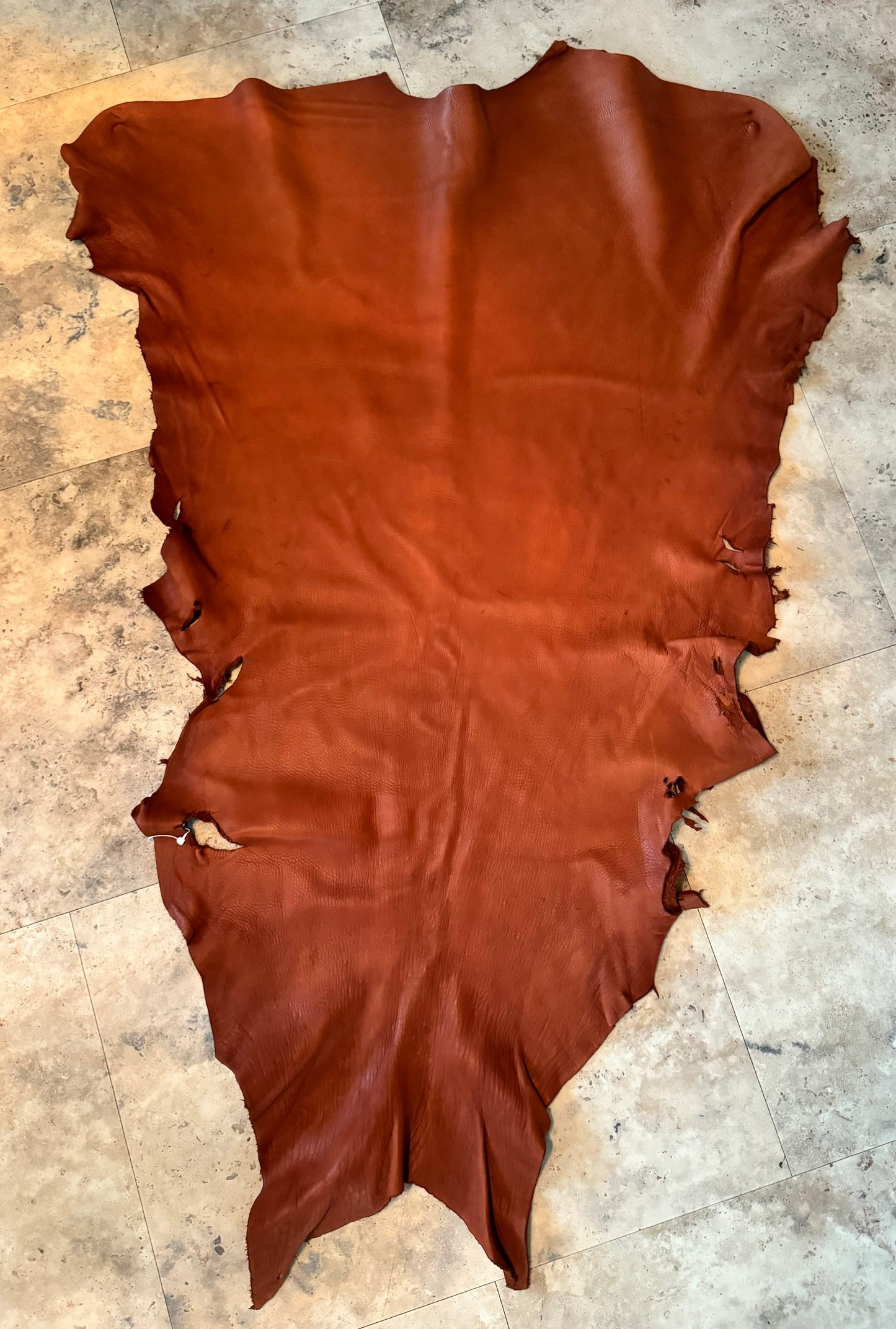 Buckskin Deer Hide