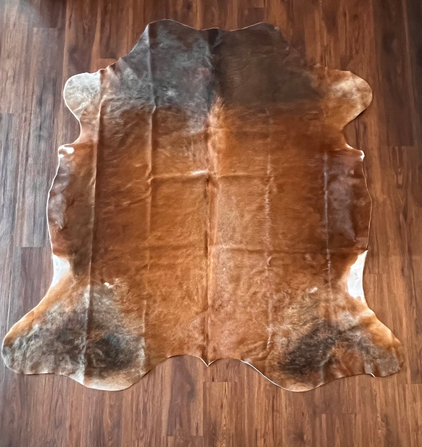 Cow Hide Rug