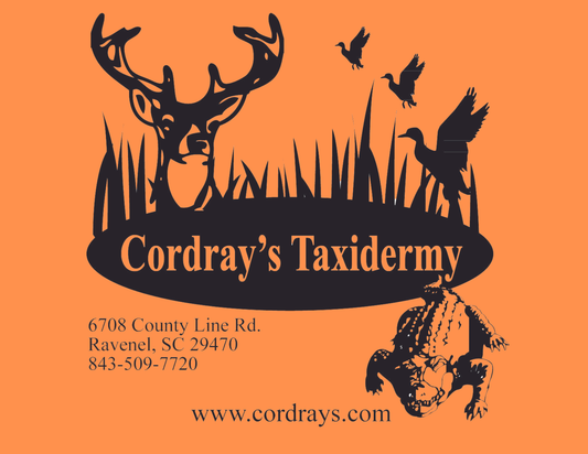 Cordrays Taxidermy Gift Certificate