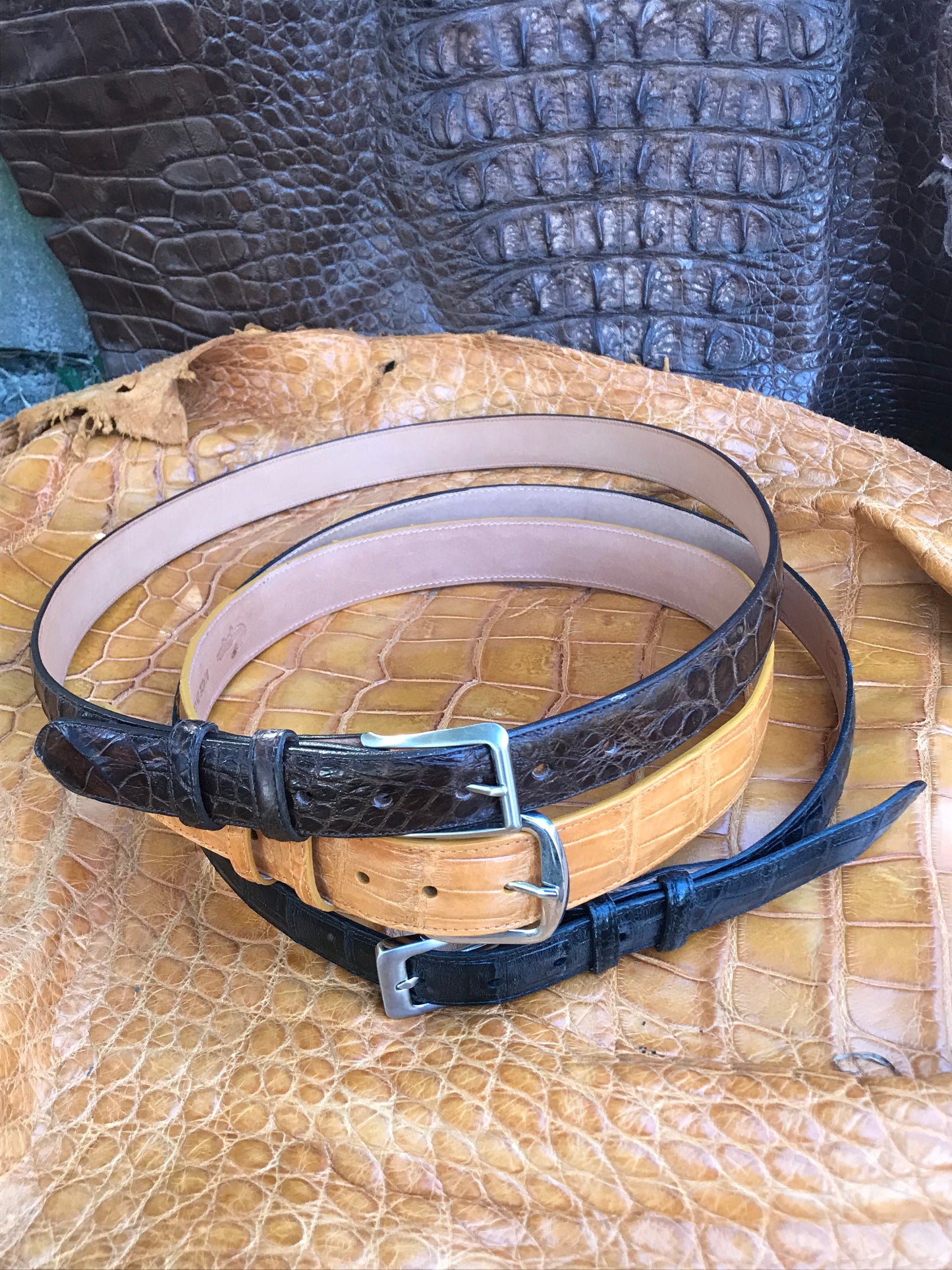 Alligator belts