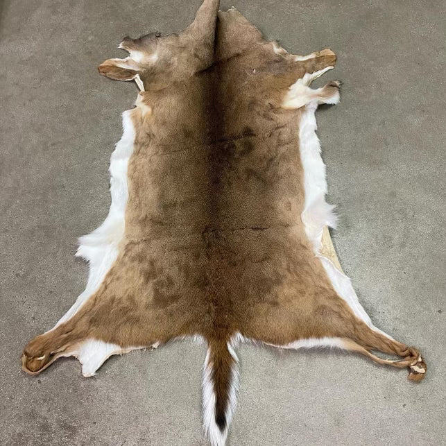 Deer Hide